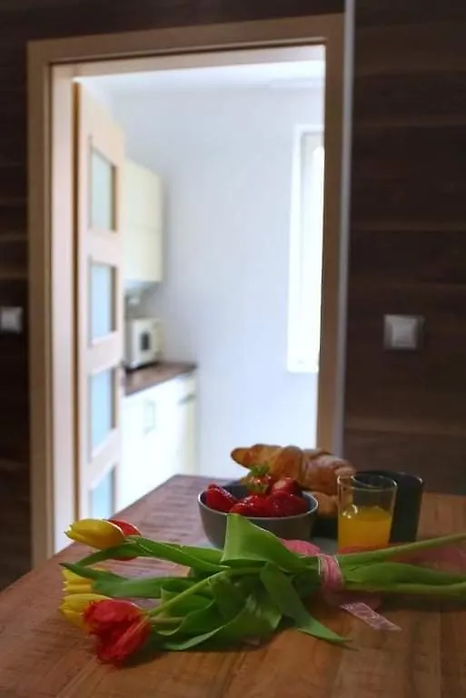 Donati Apartment At Buda Castle Budapest
